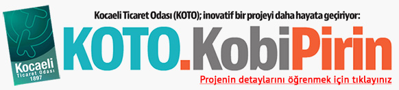 koto kobipirin projesi 2015